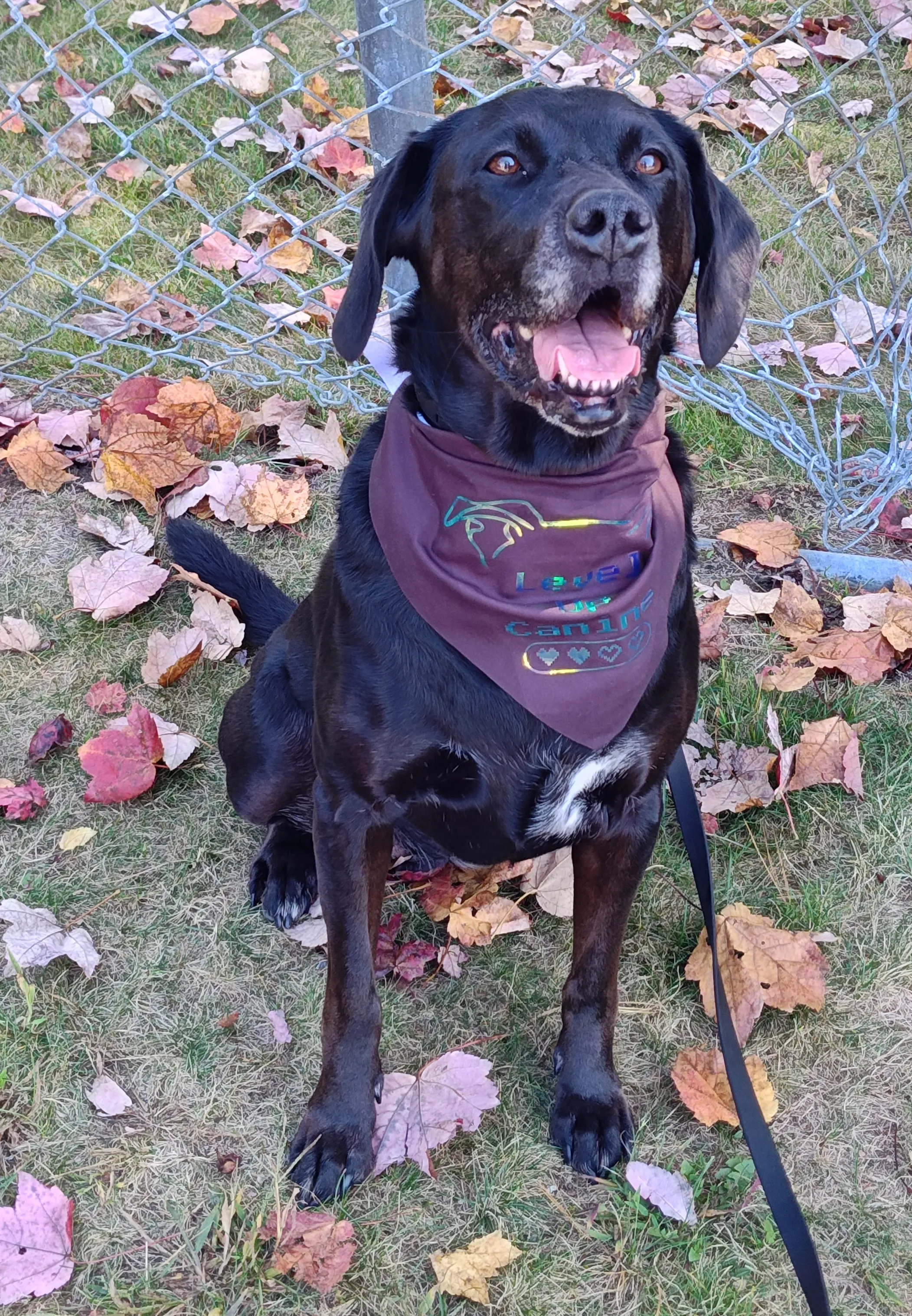 photo from Victoria Gaarder & Bailey