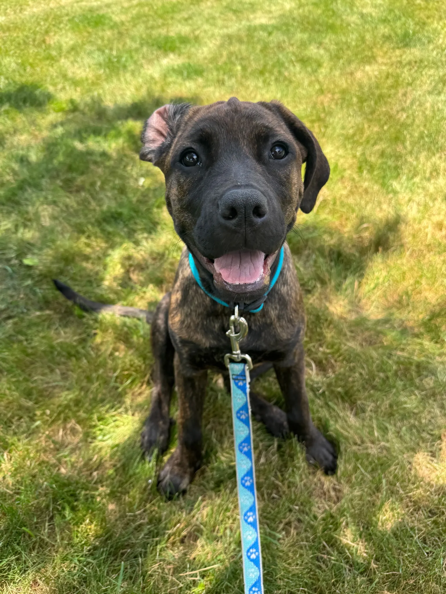 photo from Allyson Teague & Reese's