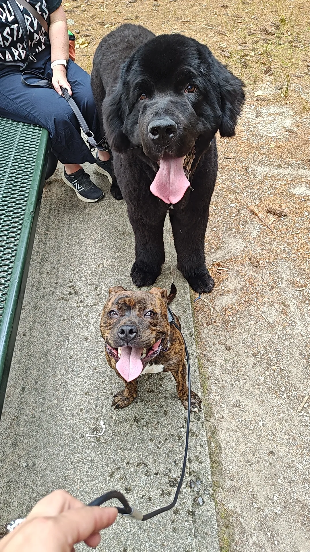 photo from Heidi Jelev & Bader